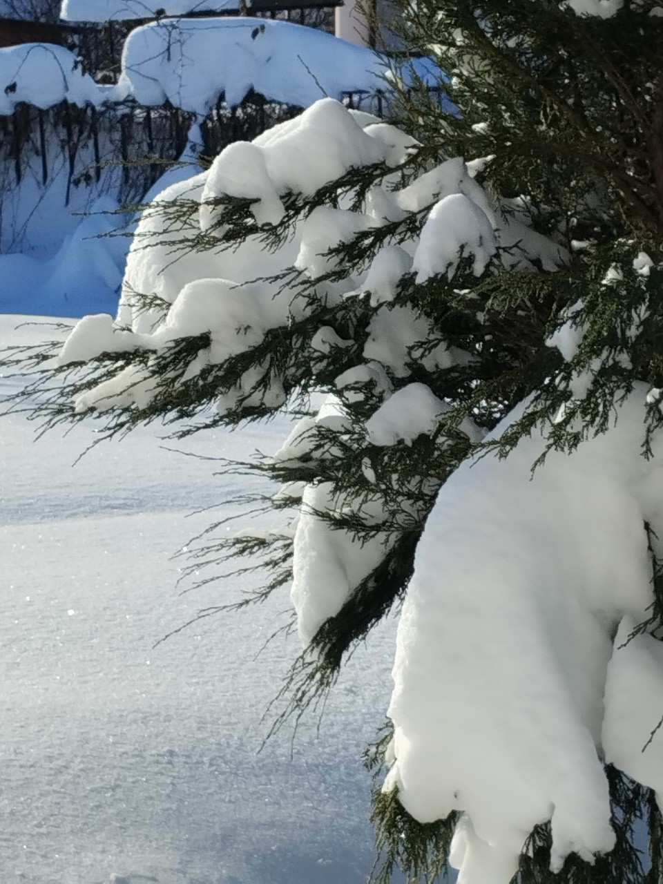 olga.ivanova77 в LOOKY — фото 4