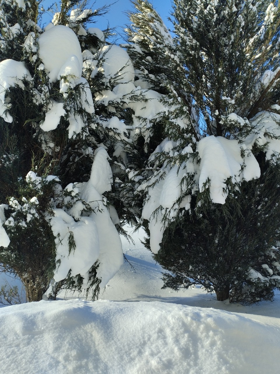 olga.ivanova77 в LOOKY — фото 6