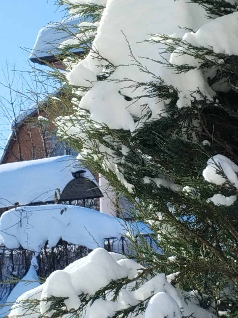 olga.ivanova77 в LOOKY — фото 3