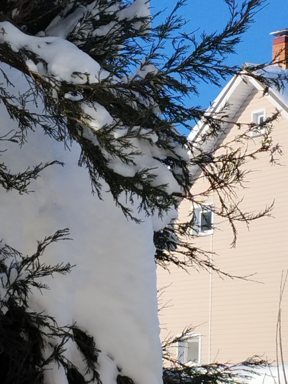 olga.ivanova77 в LOOKY. #январь,#пейзаж_ои. Солнечно-заснеженное...