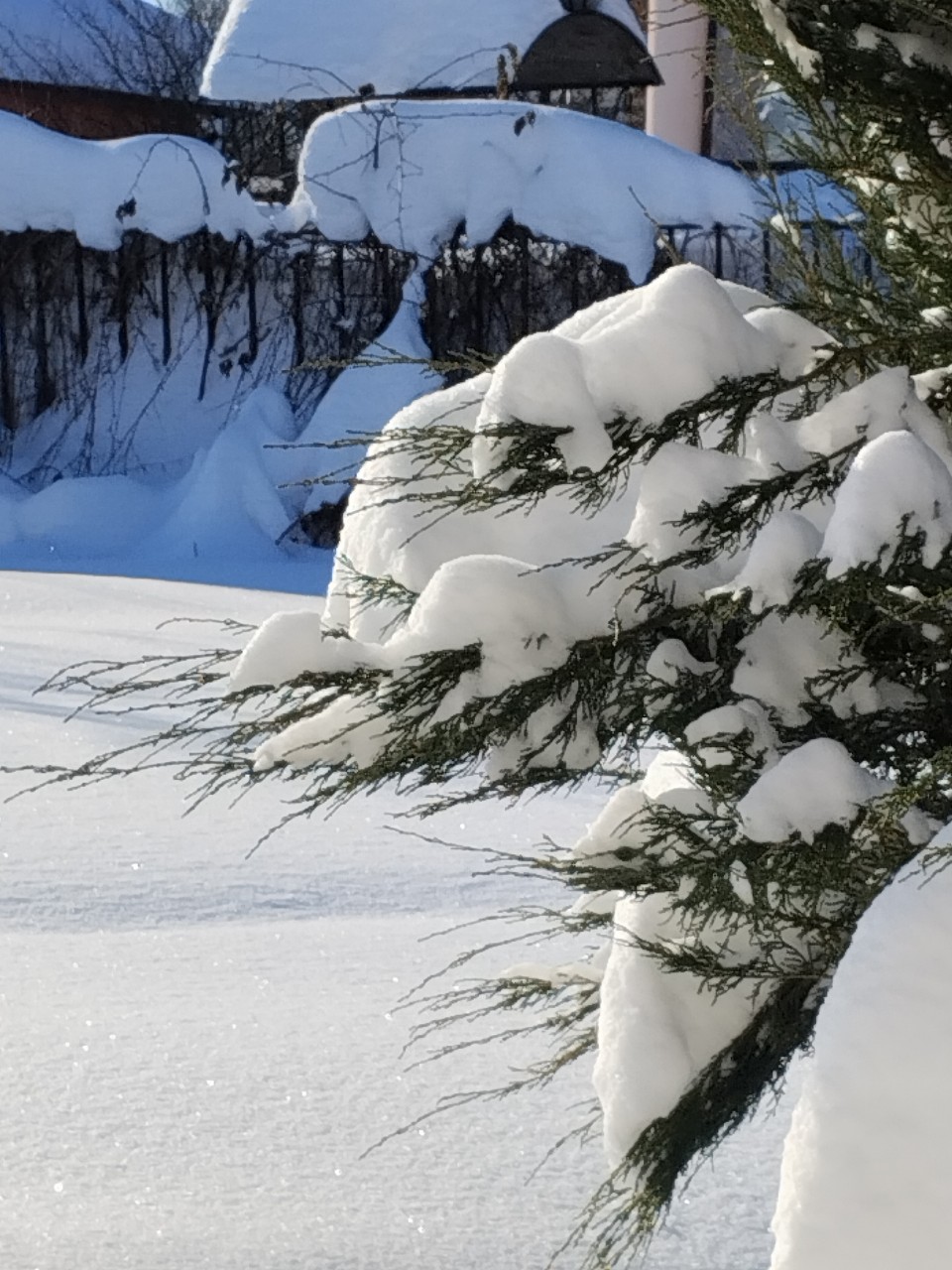 olga.ivanova77 в LOOKY — фото 2