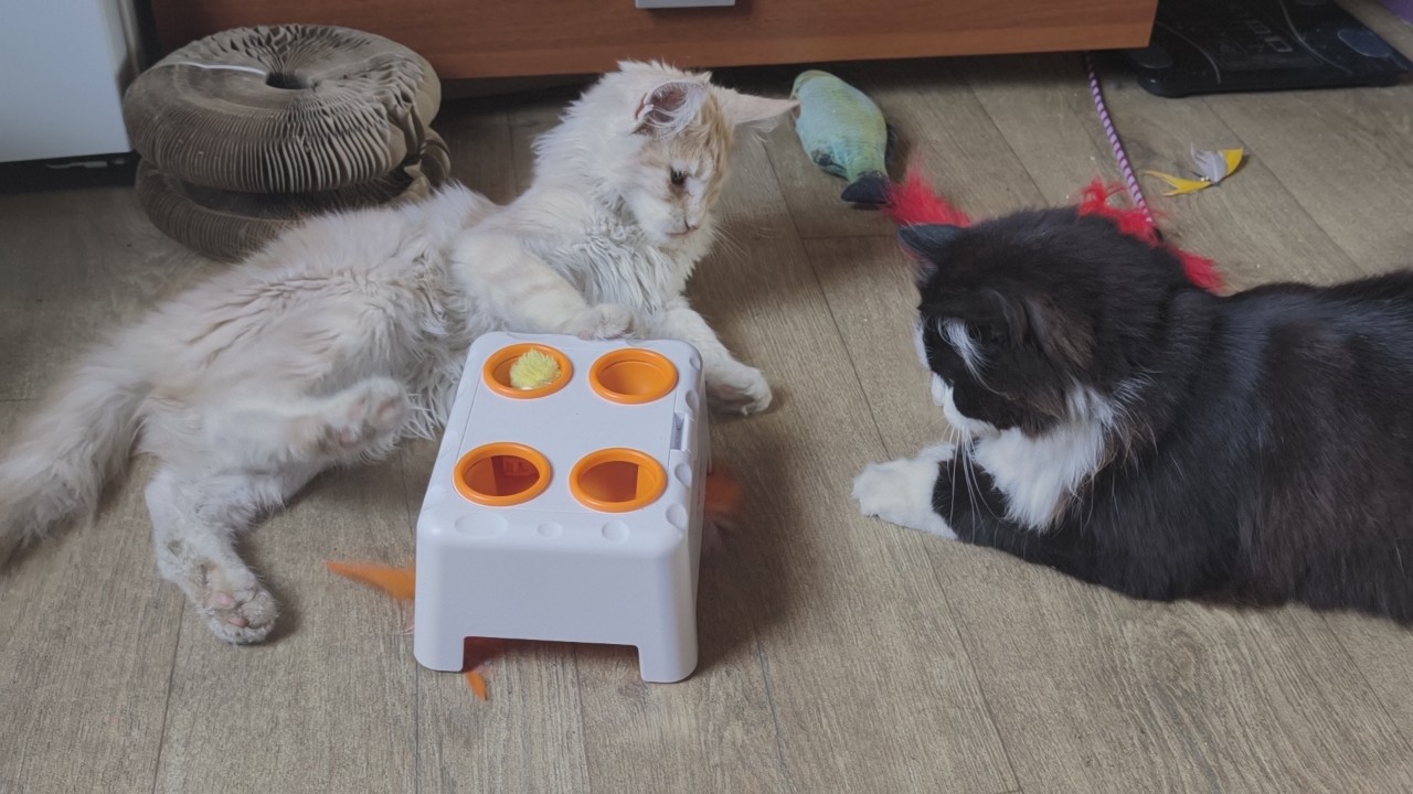 MiyaSunny в LOOKY — фото 3