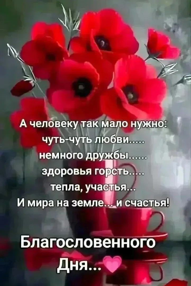 Сириус в LOOKY — публикация