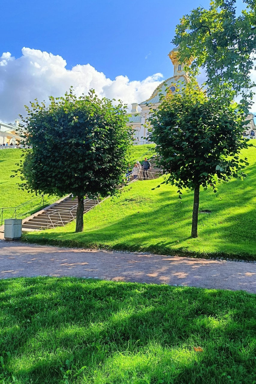 elena.bogdanovha в LOOKY. . 
