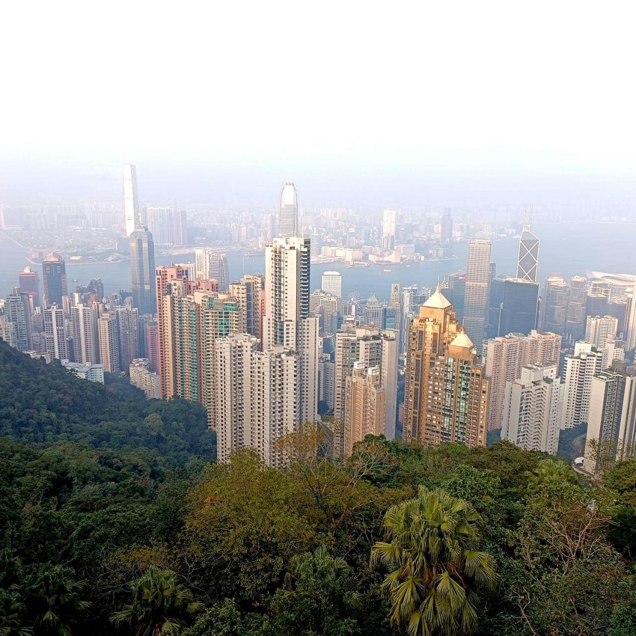 Home_Traveler in LOOKY. #China,#DomTraveler. Гонконг, Китай

#Кит...