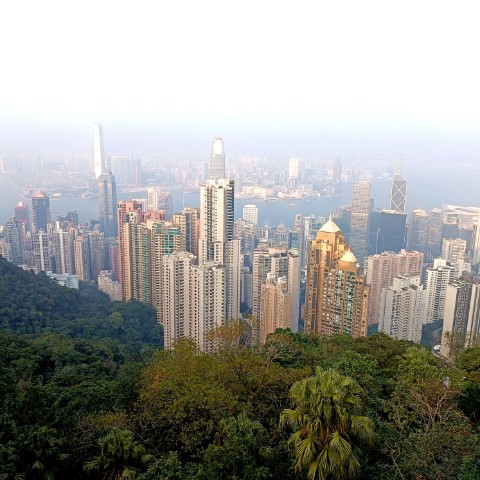 Home_Traveler в LOOKY. #China,#DomTraveler. Гонконг, Китай

#Кит...