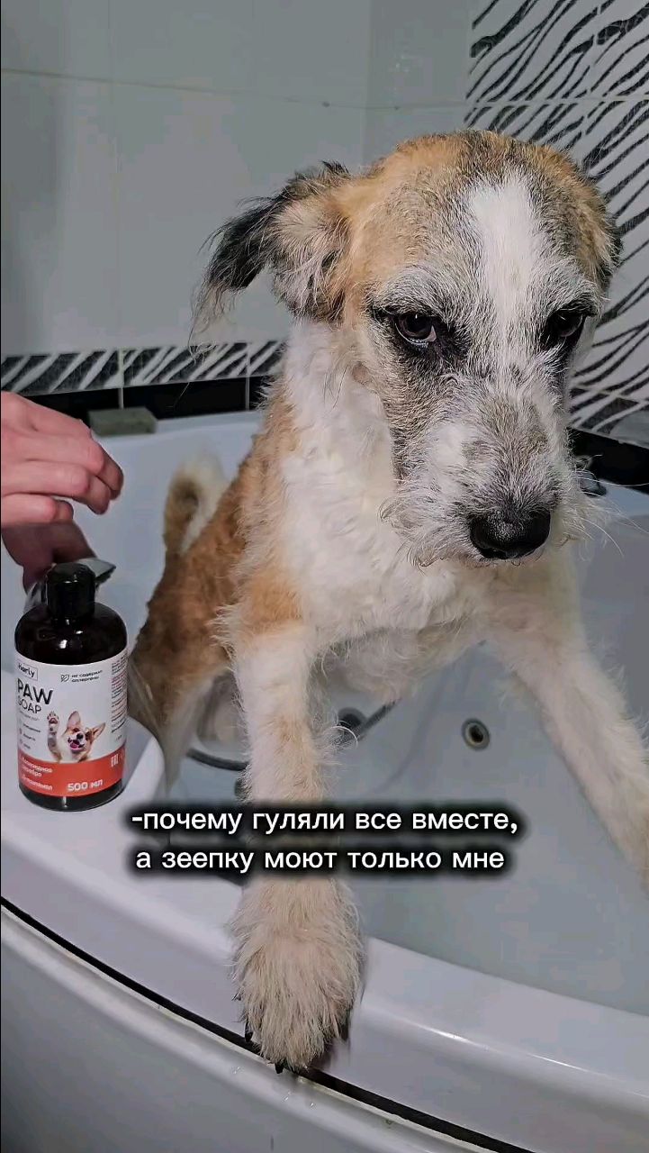 Harly_Miami в LOOKY. . Ситуация: Дорогой Дн...
