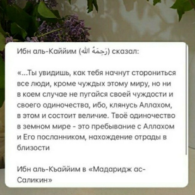 Looky_176788162729133 в LOOKY — публикация