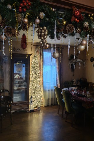 imartiniiiii в LOOKY. . К встрече Нового год...