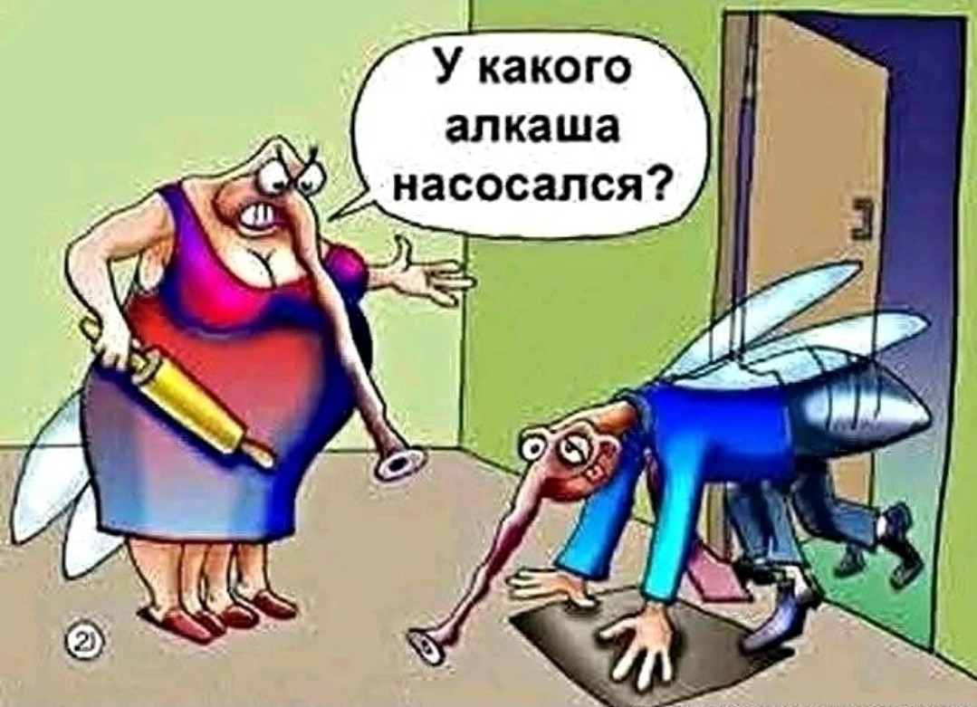 Looky_1680944639316