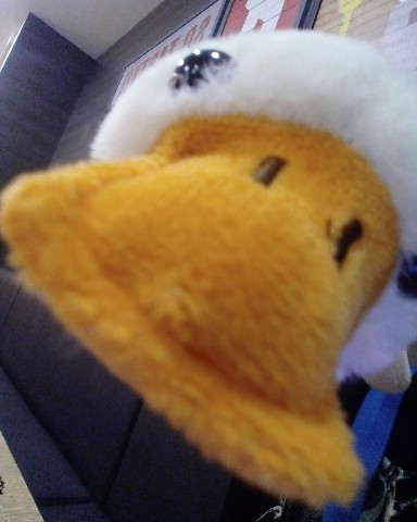 КиРа в LOOKY. #Гусяра#иеееееуу. #Гусяра#иеееееуу