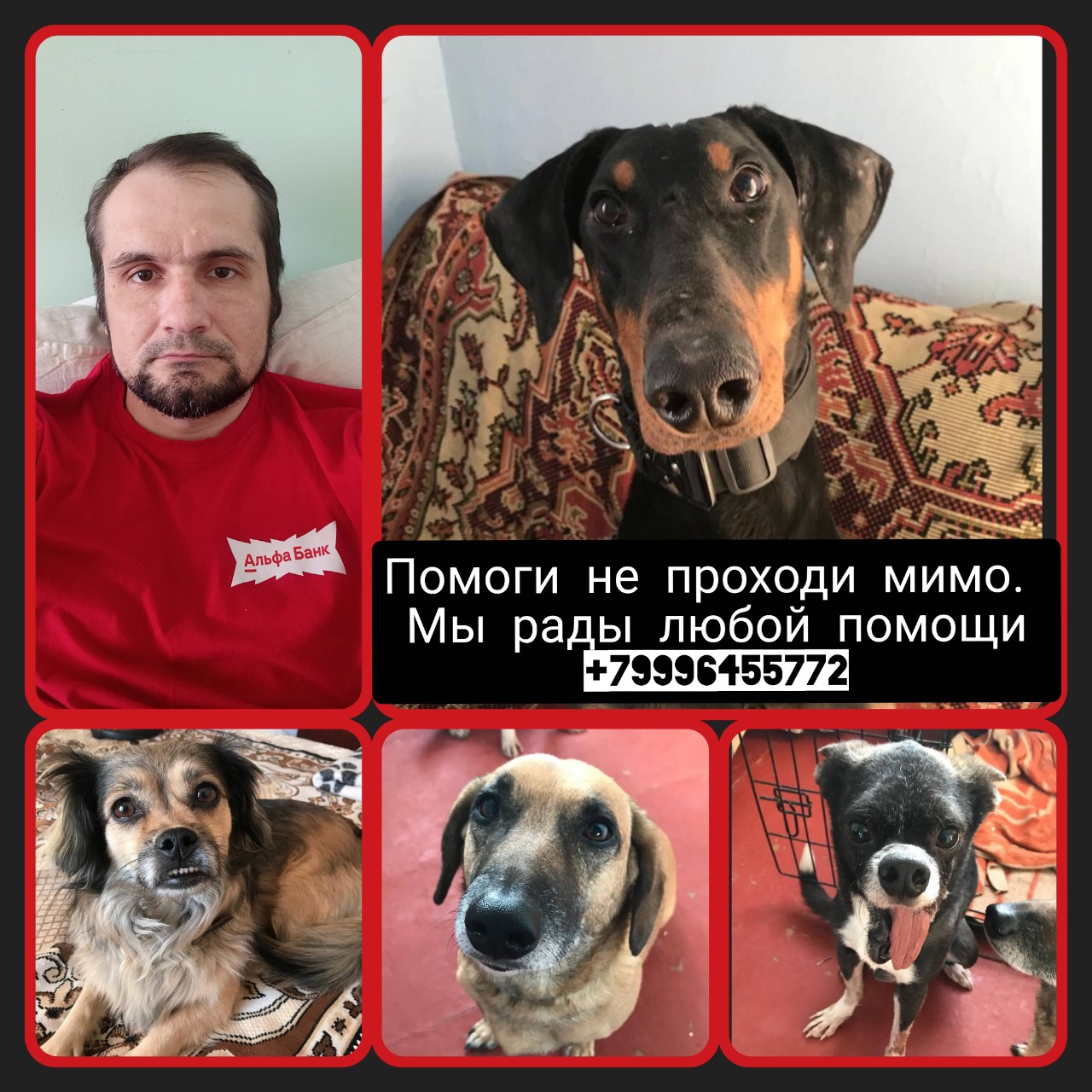 alexandr121186 в LOOKY — "Дорогие друзья! 🌟

19 числа исполнился ровно месяц, как я 
