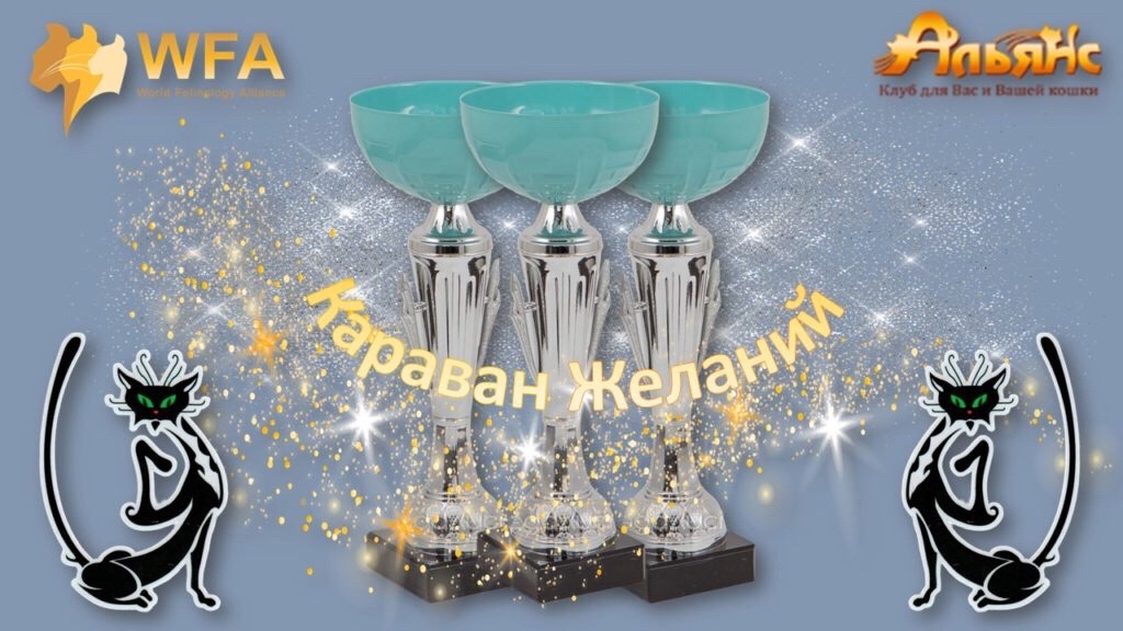 Альянс Ступино in LOOKY