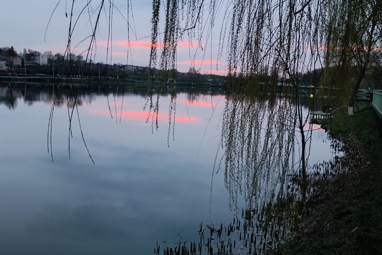 Елена в LOOKY — фото 1