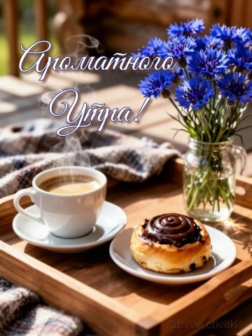 zhivie_otkritki_natali в LOOKY. #доброеутро,#времяпитькофе,#уют,#вкусноенастроение,#безсуеты,#милыйдом. ☀️ С добрым утром, к...