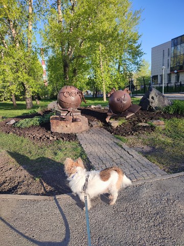 Юля Дарвин в LOOKY. #МойДарвин. [#доброеутро ](добро...