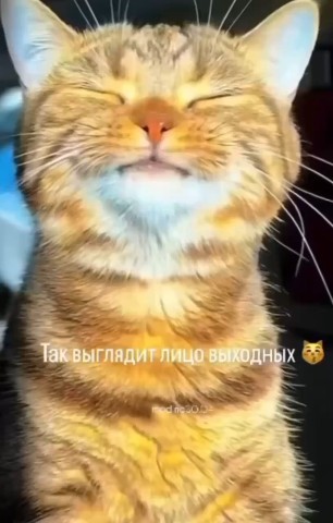 Вячеслав Кузнецов в LOOKY — публикация