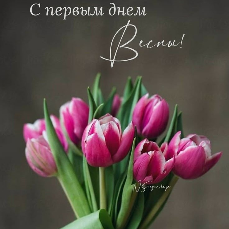 Вот и наступил он - первый день весны! 🌹💐
Март - это время, когда даже самый холодный ветер кажется теплее, потому что он пахнет надеждой.
Пусть этот месяц войдет в вашу жизнь мягко, но уверенно, растопит остатки зимней усталости и наполнит сердце светом.
Давайте дышать глубже, мечтать смелее и радоваться каждому новому дню. С первым днём весны! ♥️