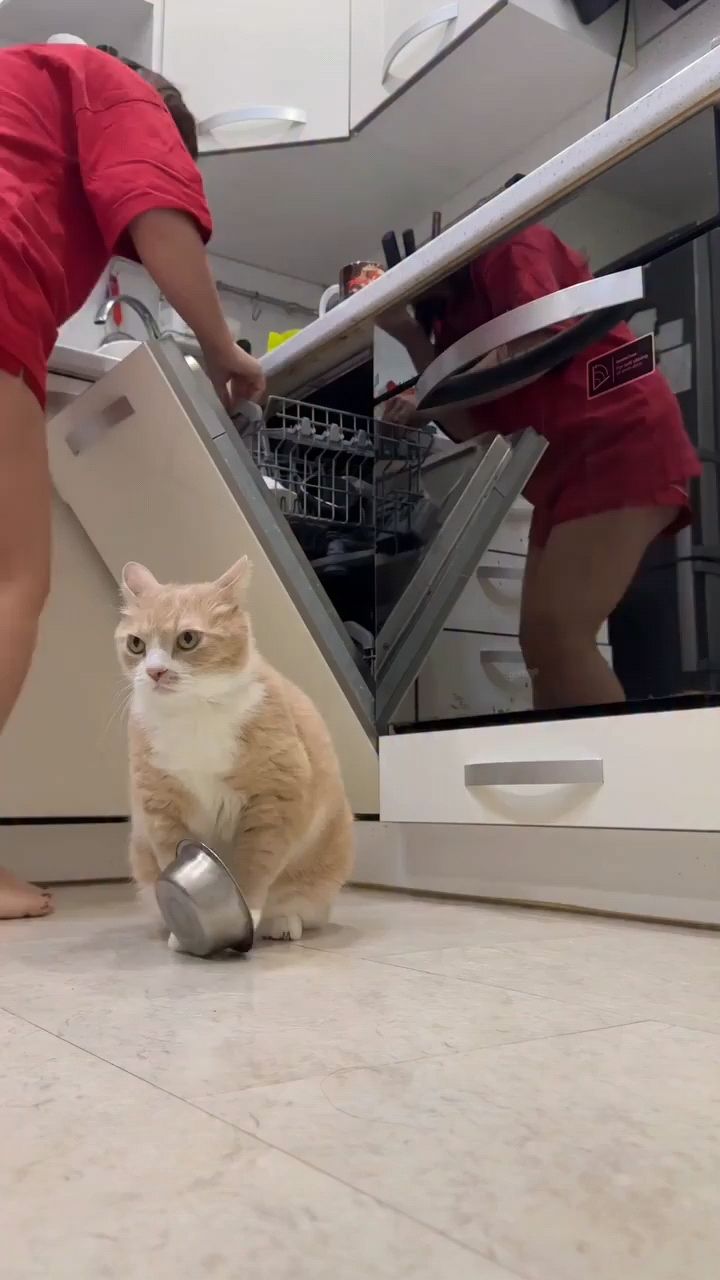 fuuny в LOOKY. . Давай корми