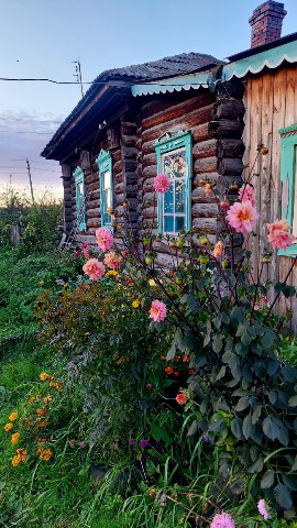 sanushka.curly в LOOKY. . Деревня 🏡