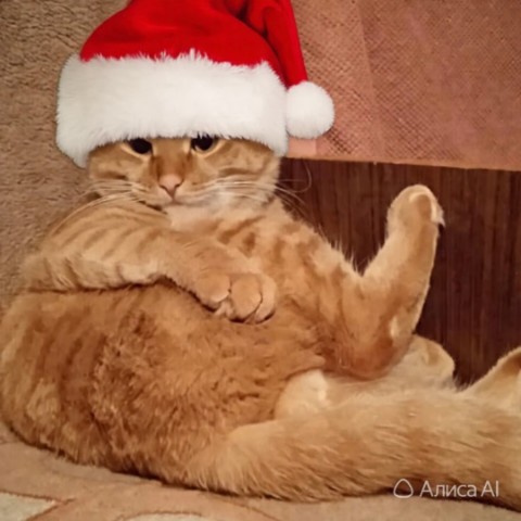 ivan_alexandrovich в LOOKY. . 