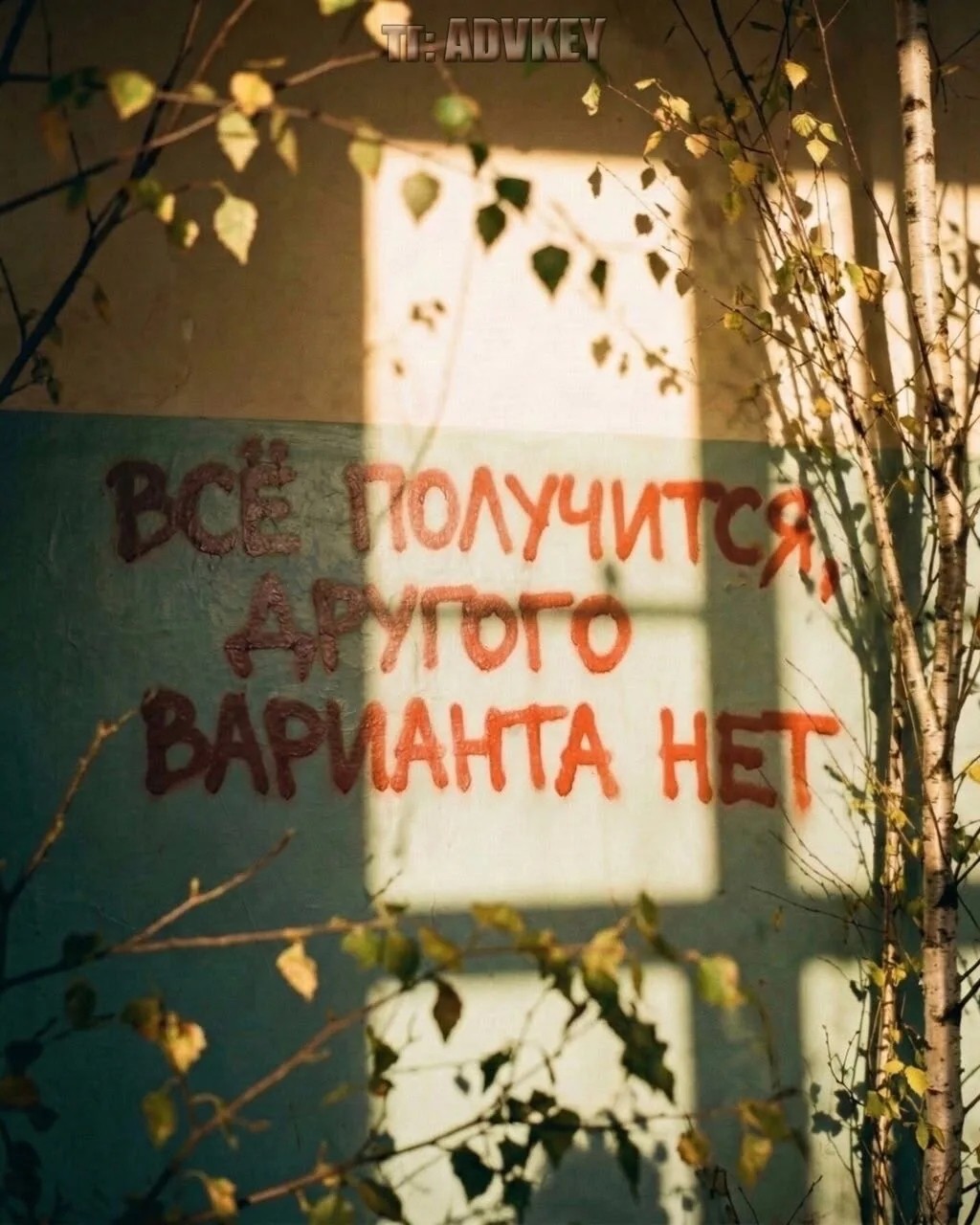  в LOOKY — Сохры💗