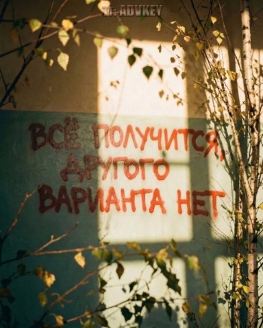 Kotik.love в LOOKY. . Сохры💗