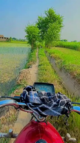Abid Ullah Sial в LOOKY. #villagelife. Village life in Paki...