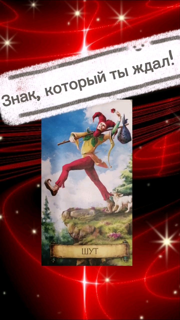 anna982124 в LOOKY — #tarot #shops #Flow #fartuna #shops#Flow#fartuna #cat #тарол