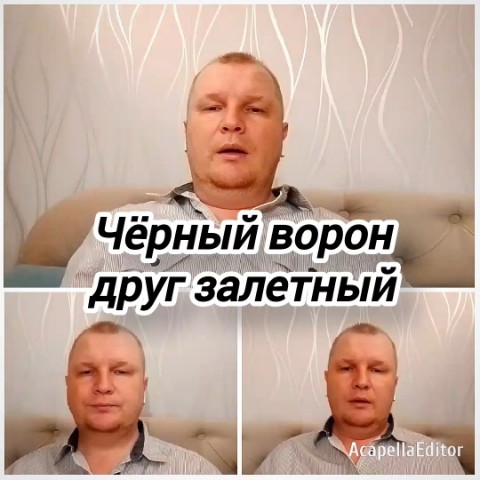 АЛЕКСЕЙ ГОЛОВИЦЫН ЯРОСЛАВЛЬ в LOOKY. #ворон,#казаки,#терек. "ЧЁРНЫЙ ВОРОН, ДРУГ ...