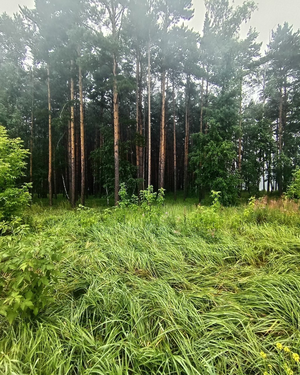 MotMari2023 в LOOKY — публикация