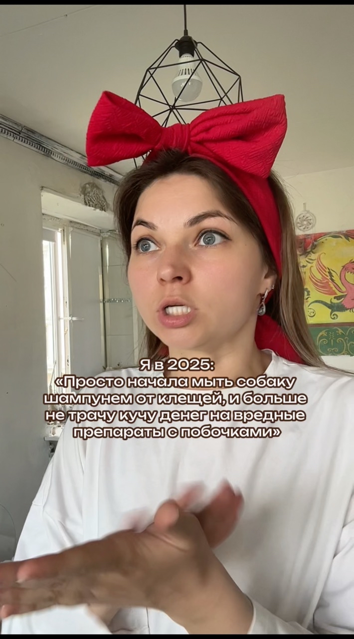 Собака Бэтмен в LOOKY. #255212157. Защита на основе нат...