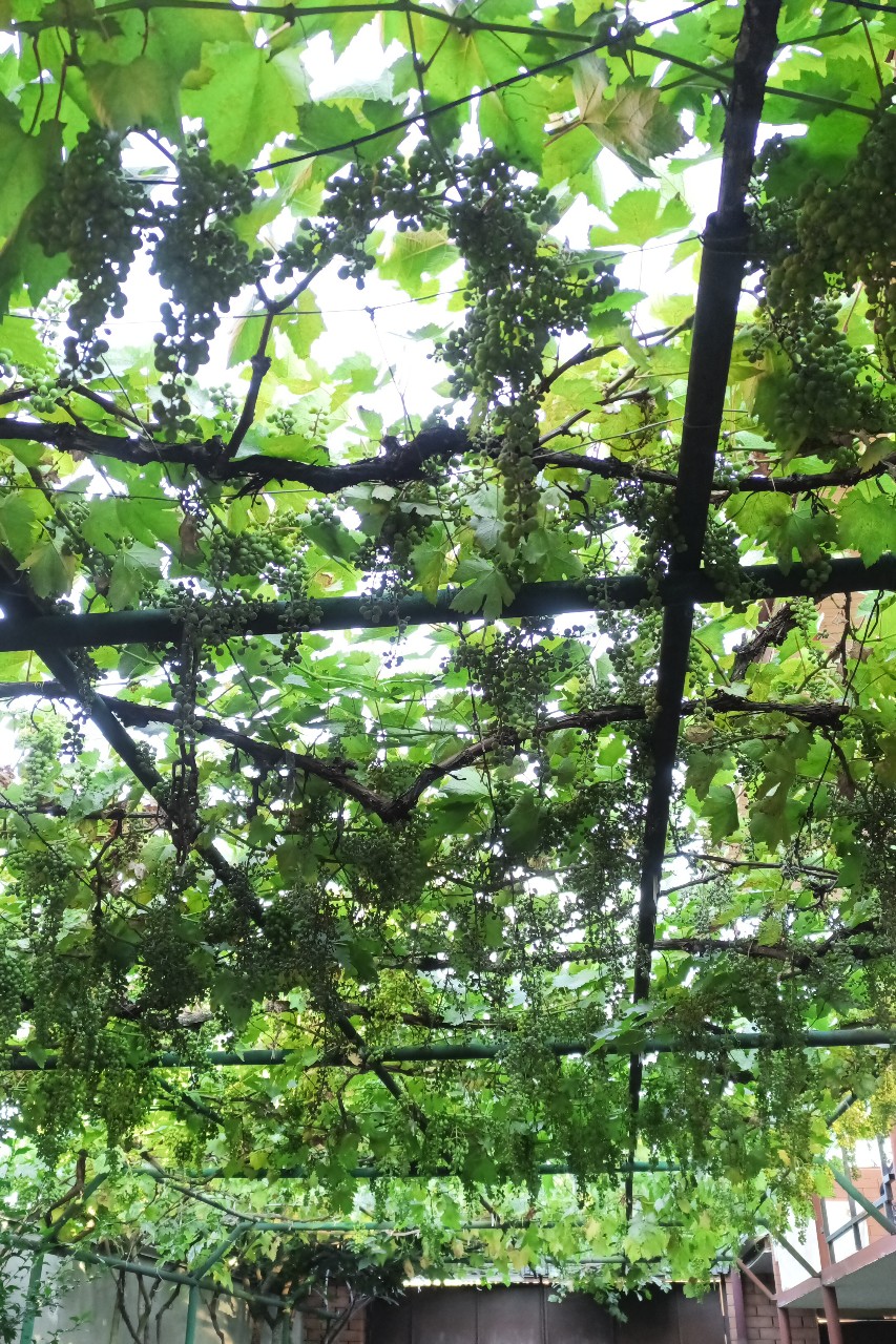 st.georg76 в LOOKY — фото 4