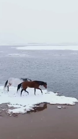 Лика в LOOKY. . Грация и мощь земли�...