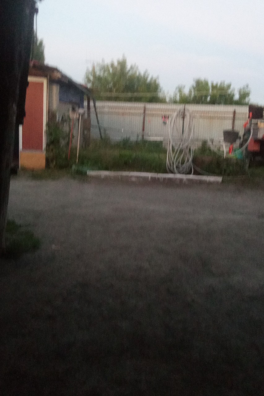 Морской Щенок в LOOKY — публикация