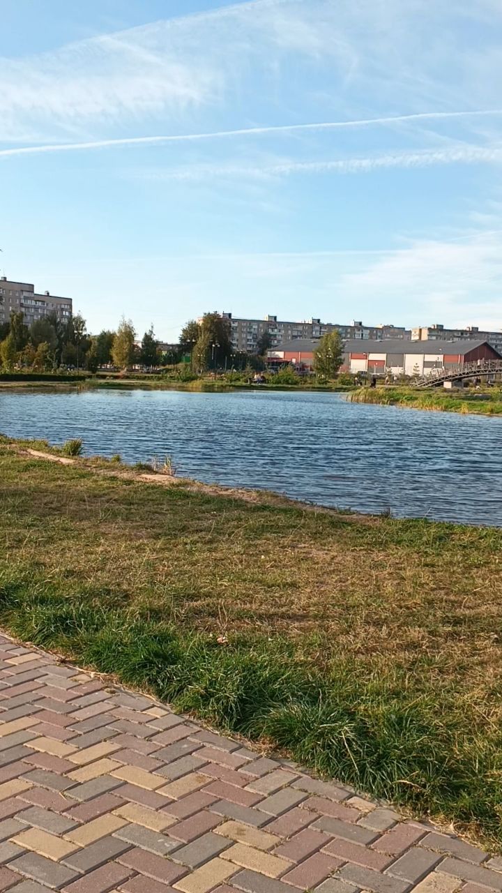 irinafedorenko_fl в LOOKY. #осень,#краскиосени,#бабьелето. А у нас впереди крас...