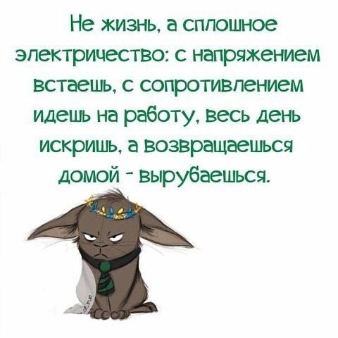 [#жизнь](жизнь) #юмор