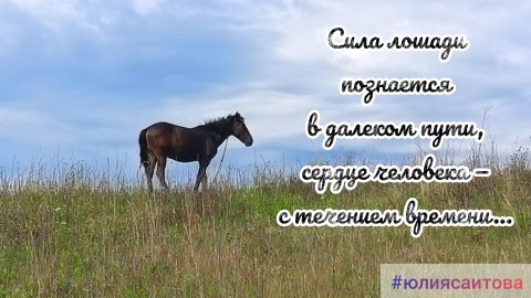 YULIYA в LOOKY — публикация