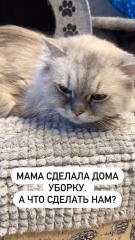 taik19.12.19 в LOOKY. . Что сделать нам😺?