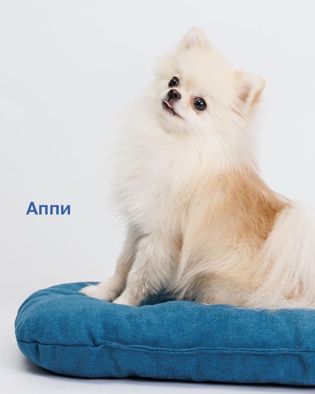 LOOKY бизнес в LOOKY — фото 9