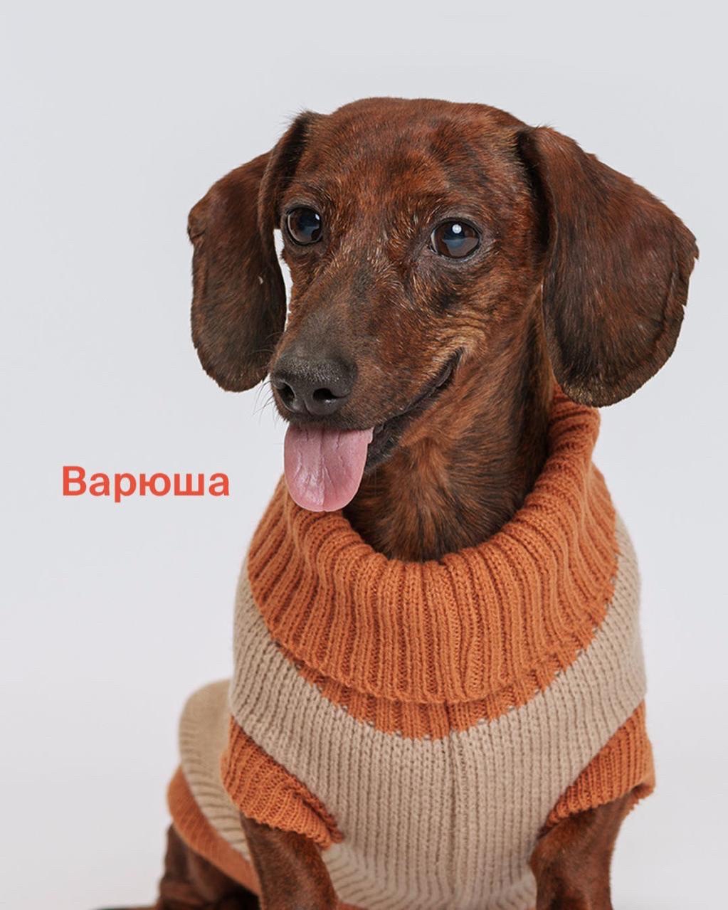 LOOKY бизнес в LOOKY — фото 5