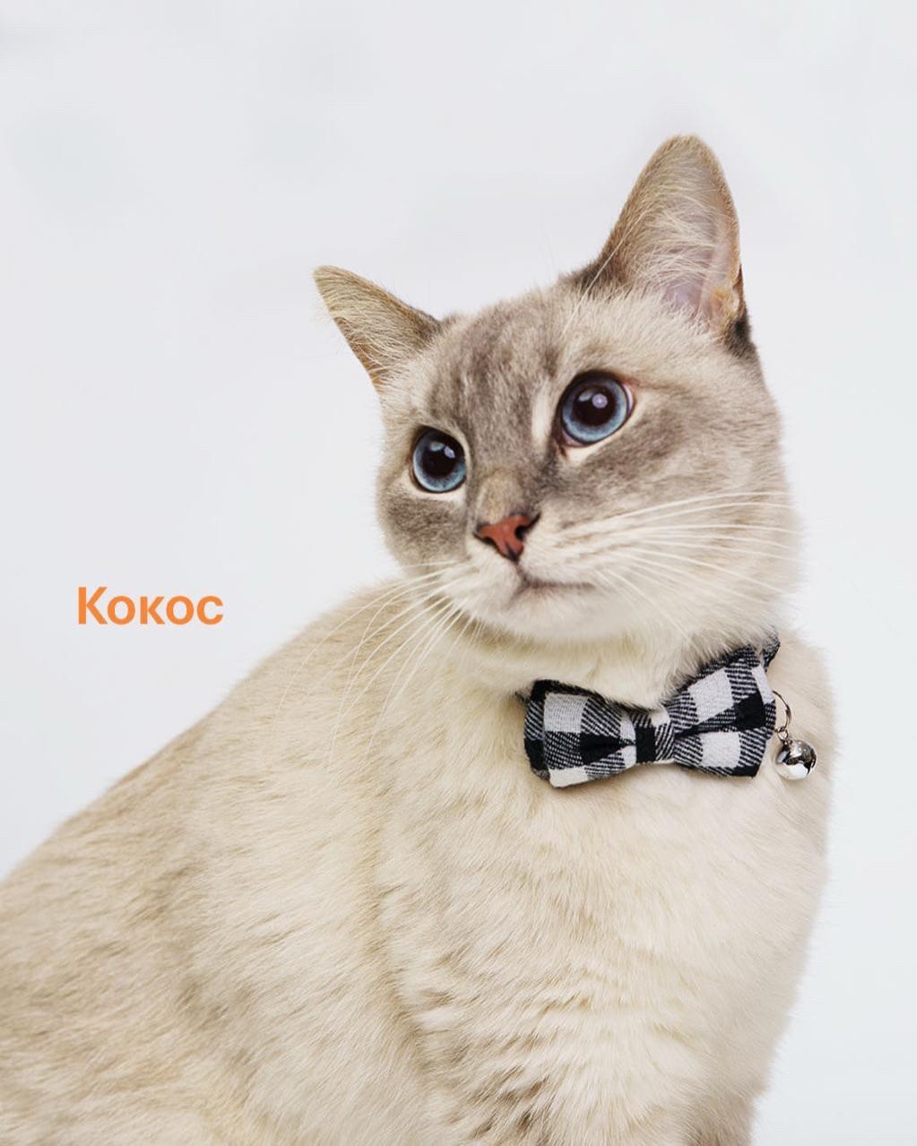 LOOKY бизнес в LOOKY — фото 8