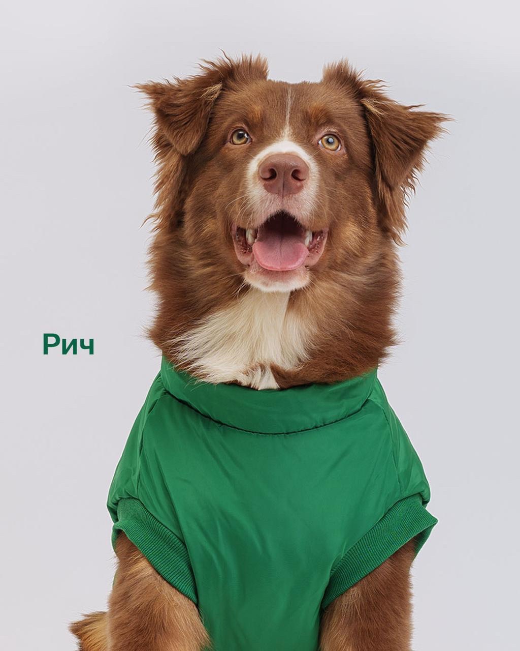 LOOKY бизнес в LOOKY. . «Пока в киноиндустри...