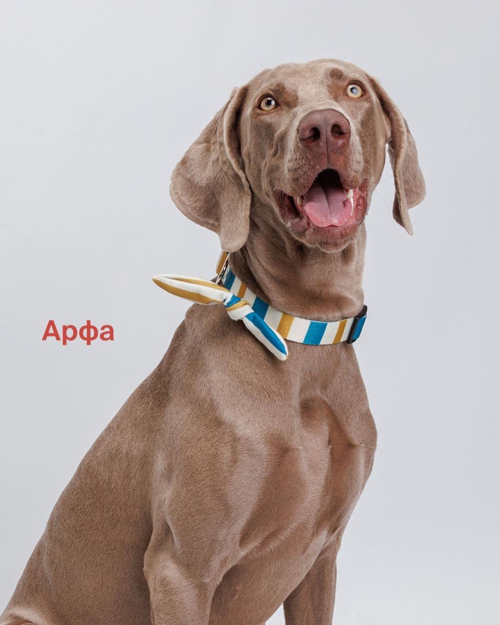 LOOKY бизнес в LOOKY — фото 3