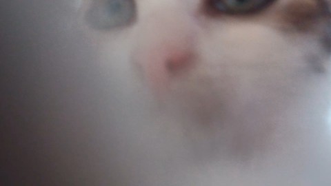 Nasty_125 в LOOKY. . Что муся делает с мо...