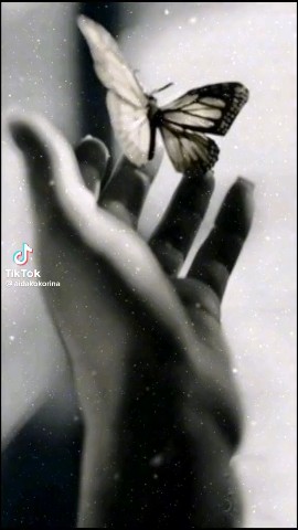 Looky_178558233058280 в LOOKY. . 