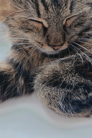 Looky_175223609393520 в LOOKY. . 