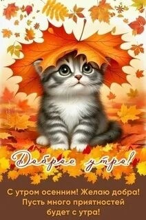 Looky_1710172419218 в LOOKY. . Доброе утро!☕🧁Хорош...