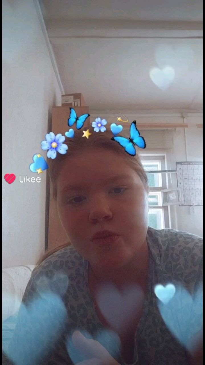 Дикая лиса в LOOKY — публикация