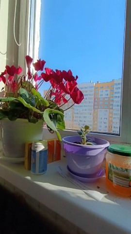 Looky_1709377142289 в LOOKY. . Обзор куклы Нины 33 ...